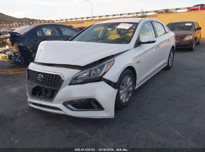 Lot #3035091747 2016 HYUNDAI SONATA HYBRID SE