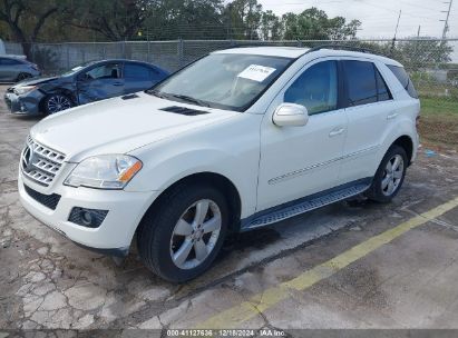 Lot #3037534729 2010 MERCEDES-BENZ M-CLASS ML 350