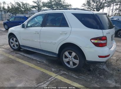 Lot #3037534729 2010 MERCEDES-BENZ M-CLASS ML 350