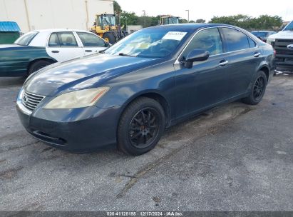 Lot #3034048498 2008 LEXUS ES 350