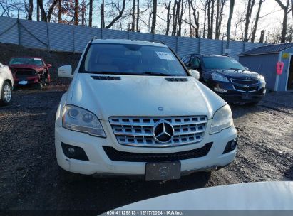 Lot #3037534687 2011 MERCEDES-BENZ ML 350 4MATIC