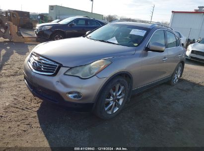 Lot #3037534683 2008 INFINITI EX35 JOURNEY