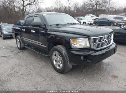 Lot #3035095621 2008 DODGE DAKOTA LARAMIE