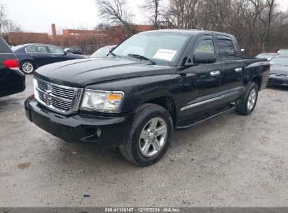 Lot #3035095621 2008 DODGE DAKOTA LARAMIE