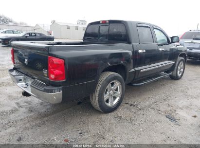 Lot #3035095621 2008 DODGE DAKOTA LARAMIE