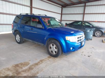 Lot #3035079437 2011 FORD ESCAPE XLT