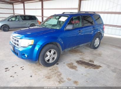 Lot #3035079437 2011 FORD ESCAPE XLT