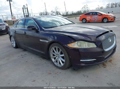 Lot #3051078589 2013 JAGUAR XJ