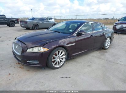 Lot #3051078589 2013 JAGUAR XJ