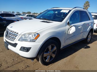 Lot #3050072809 2011 MERCEDES-BENZ ML 350