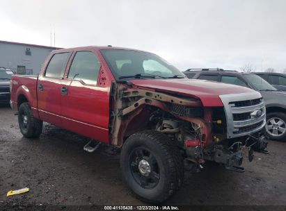 Lot #3035095756 2014 FORD F-150 XLT