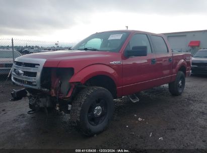 Lot #3035095756 2014 FORD F-150 XLT