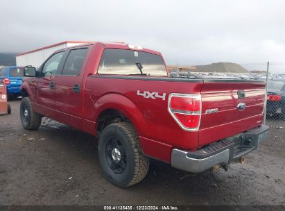 Lot #3035095756 2014 FORD F-150 XLT