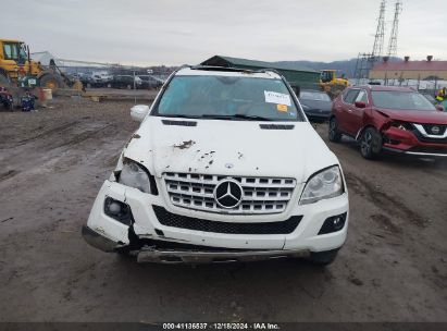 Lot #3051091595 2010 MERCEDES-BENZ M-CLASS ML 350