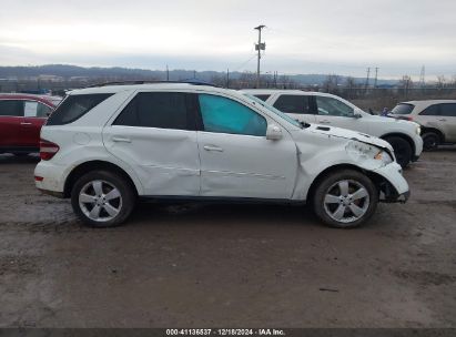 Lot #3051091595 2010 MERCEDES-BENZ M-CLASS ML 350