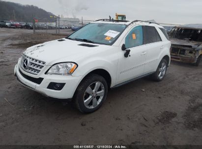 Lot #3051091595 2010 MERCEDES-BENZ M-CLASS ML 350