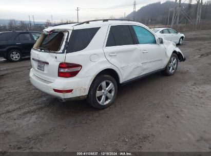 Lot #3051091595 2010 MERCEDES-BENZ M-CLASS ML 350