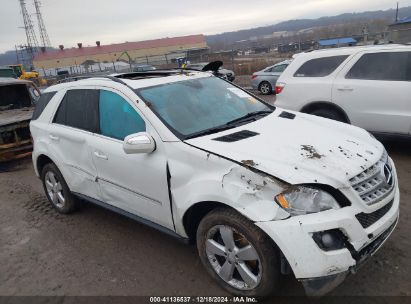 Lot #3051091595 2010 MERCEDES-BENZ M-CLASS ML 350