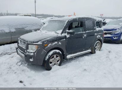 Lot #3041543483 2003 HONDA ELEMENT EX