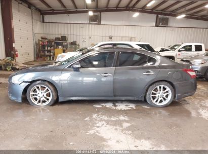 Lot #3051091453 2010 NISSAN MAXIMA 3.5 SV W/PREMIUM PKG