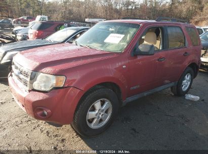 Lot #3051091440 2008 FORD ESCAPE XLT