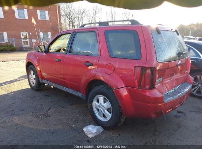 Lot #3051091440 2008 FORD ESCAPE XLT