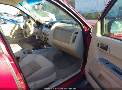 Lot #3051091440 2008 FORD ESCAPE XLT