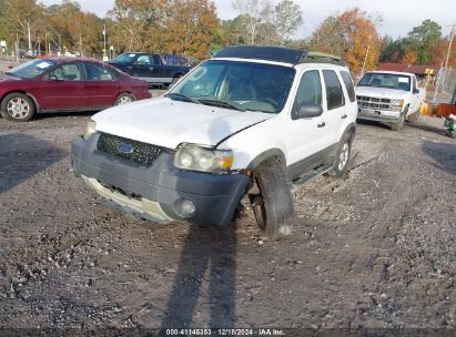 Lot #3051091417 2006 FORD ESCAPE XLT/XLT SPORT