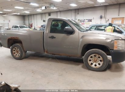 Lot #3037523196 2013 CHEVROLET SILVERADO 1500 WORK TRUCK