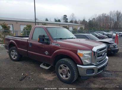 Lot #3042554373 2016 FORD F-250 XLT