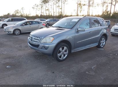 Lot #3042564001 2011 MERCEDES-BENZ ML 350