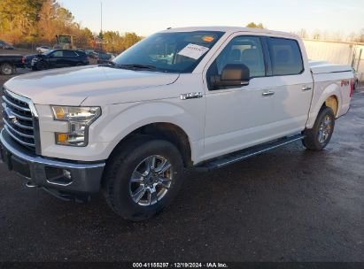 Lot #3056071714 2016 FORD F-150 XLT