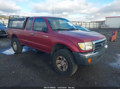 Lot #3053067341 1998 TOYOTA TACOMA