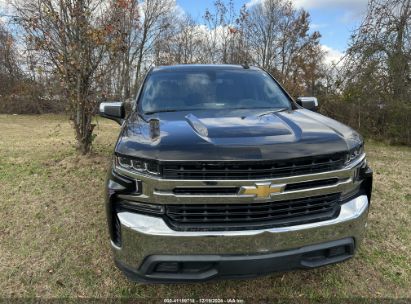 Lot #3037523174 2019 CHEVROLET SILVERADO