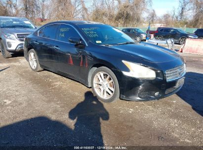 Lot #3034048360 2011 NISSAN MAXIMA 3.5 SV