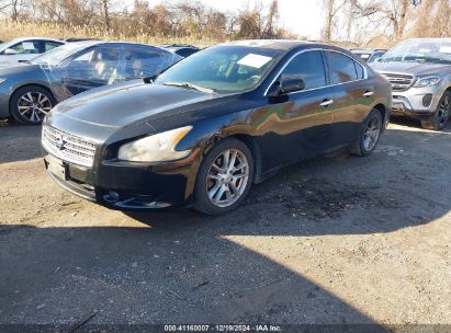 Lot #3034048360 2011 NISSAN MAXIMA 3.5 SV