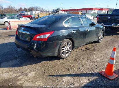 Lot #3034048360 2011 NISSAN MAXIMA 3.5 SV