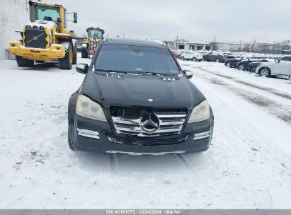 Lot #3051080818 2010 MERCEDES-BENZ GL-CLASS GL 550