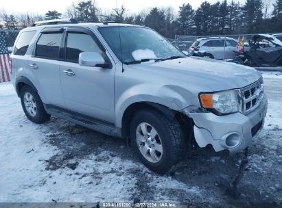 Lot #3051091072 2012 FORD ESCAPE LIMITED