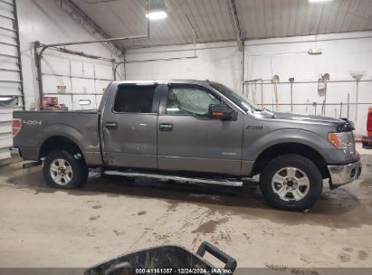 Lot #3054262426 2014 FORD F-150 XLT