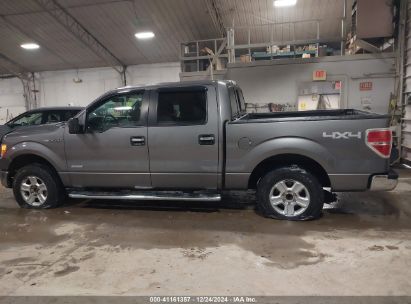 Lot #3054262426 2014 FORD F-150 XLT