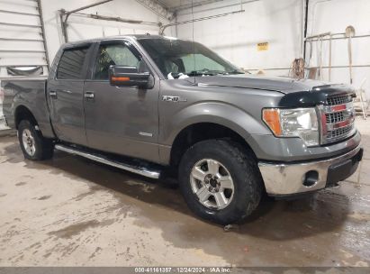 Lot #3054262426 2014 FORD F-150 XLT