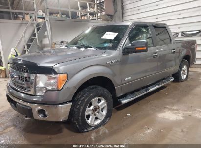 Lot #3054262426 2014 FORD F-150 XLT