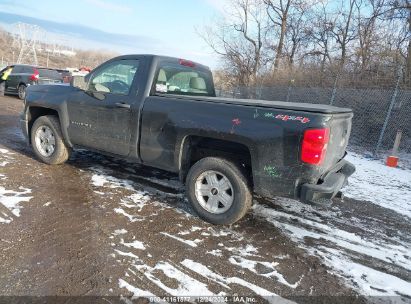 Lot #3058073697 2014 CHEVROLET SILVERADO 1500 WORK TRUCK 1WT