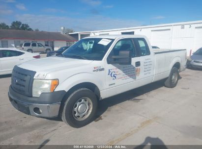 Lot #3052471817 2012 FORD F-150 XL