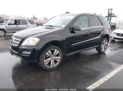 Lot #3056477038 2011 MERCEDES-BENZ ML 350 4MATIC