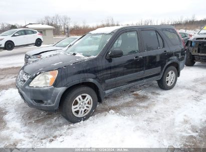 Lot #3052078878 2002 HONDA CR-V EX