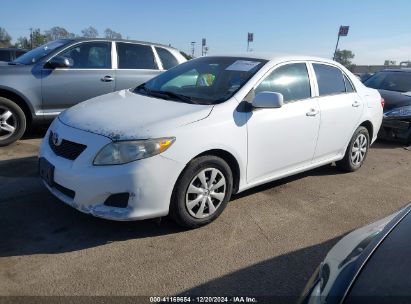 Lot #3035090616 2010 TOYOTA COROLLA LE