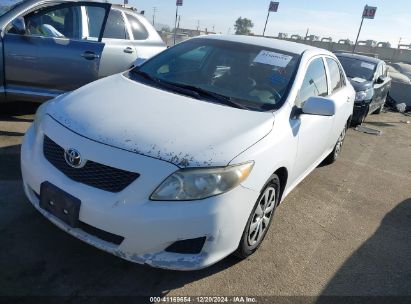 Lot #3035090616 2010 TOYOTA COROLLA LE