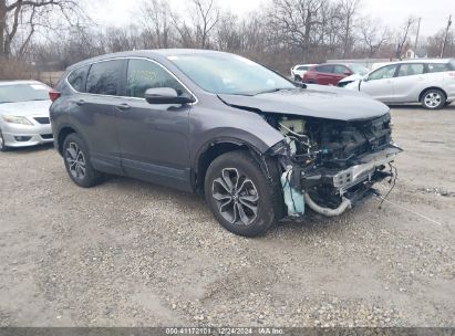 Lot #3051090901 2020 HONDA CR-V AWD EX